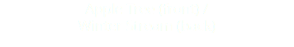 Apple Tree (front) / Winter Stream (back)