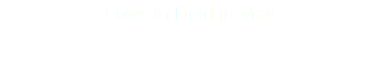 Cows in Field in May