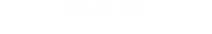 Very Early Spring